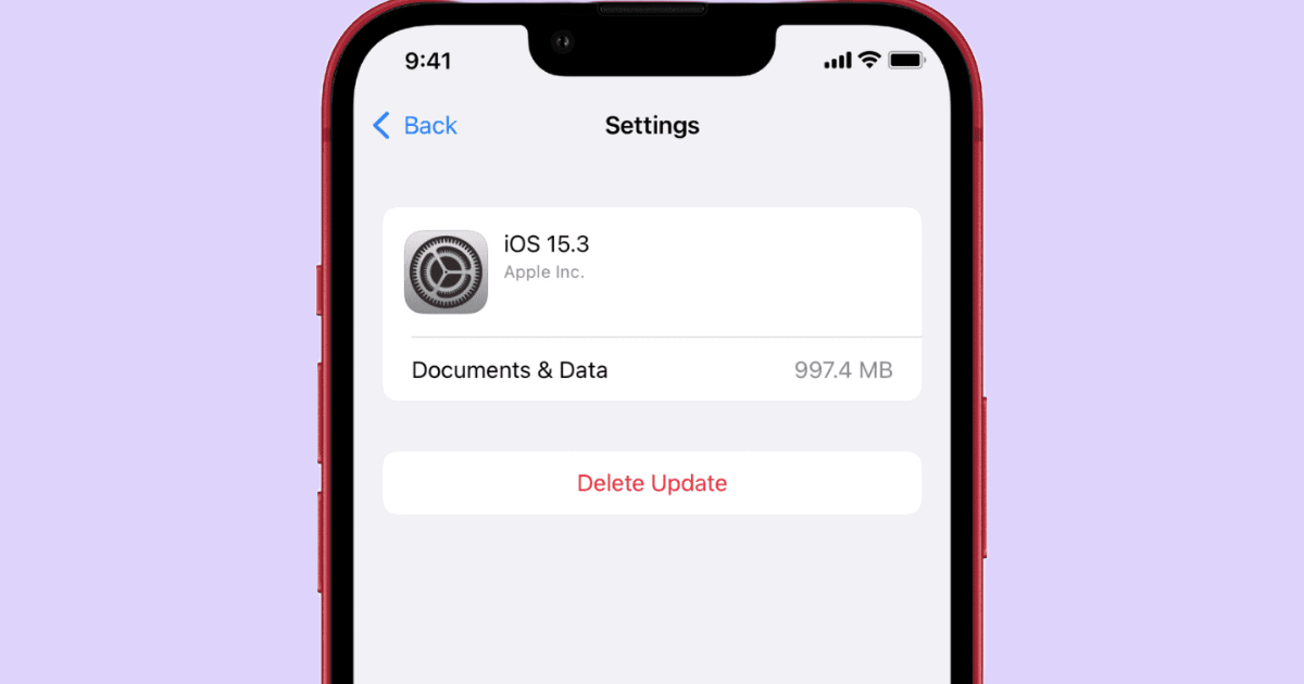 How to Enable or Disable Automatic Updates for iOS Apps