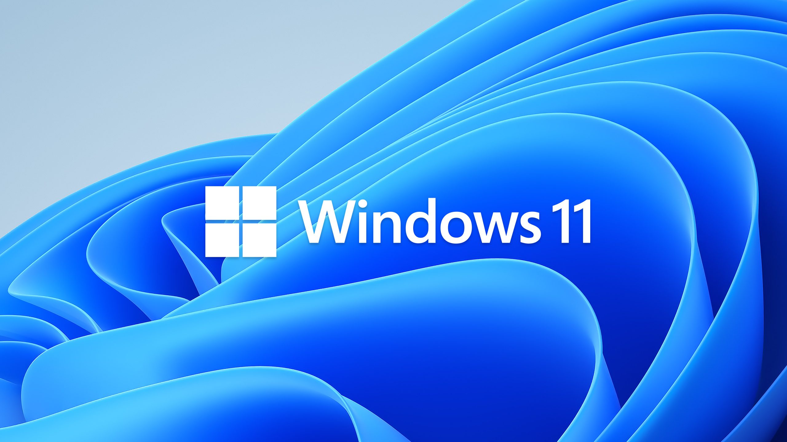 Windows 11 Release: What to Expect